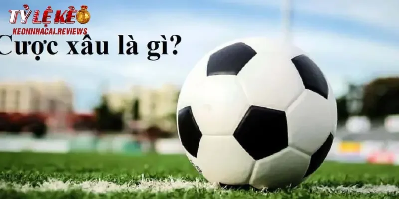 Cược Xâu Là Gì