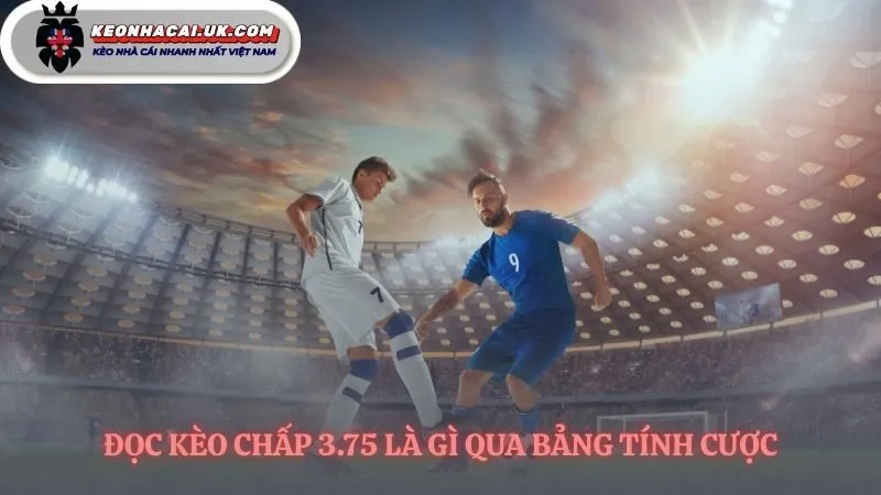 Bốn ngã rẽ quyết định cho vé cược của bạn